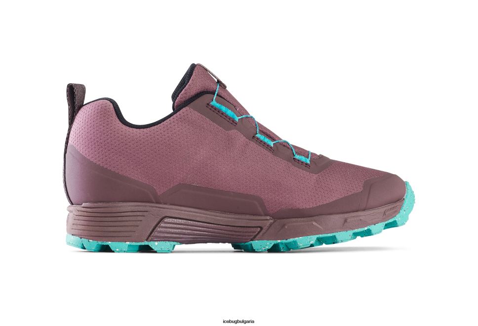 Icebug роувър rb9x gtx Жени прах слива/мента обувки 26D6F15