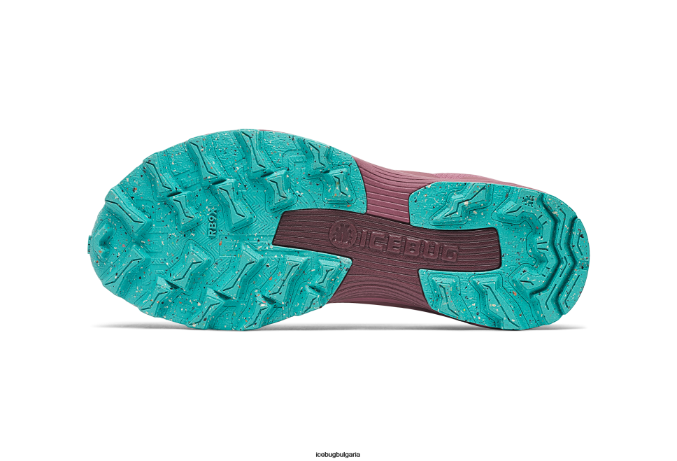 Icebug роувър rb9x gtx Жени прах слива/мента обувки 26D6F15