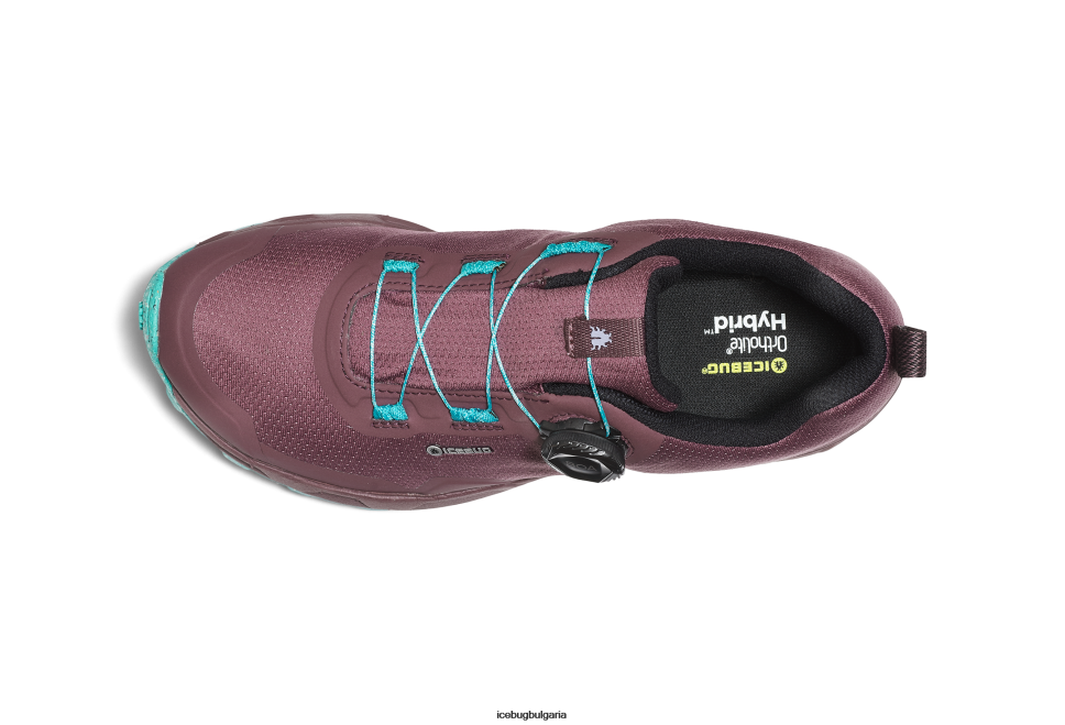 Icebug роувър rb9x gtx Жени прах слива/мента обувки 26D6F15