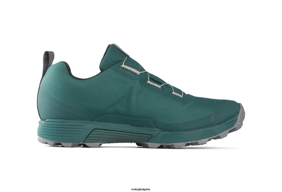 Icebug роувър rb9x gtx мъже синьо/камък обувки 26D6F83